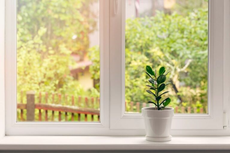 windowsill with plant