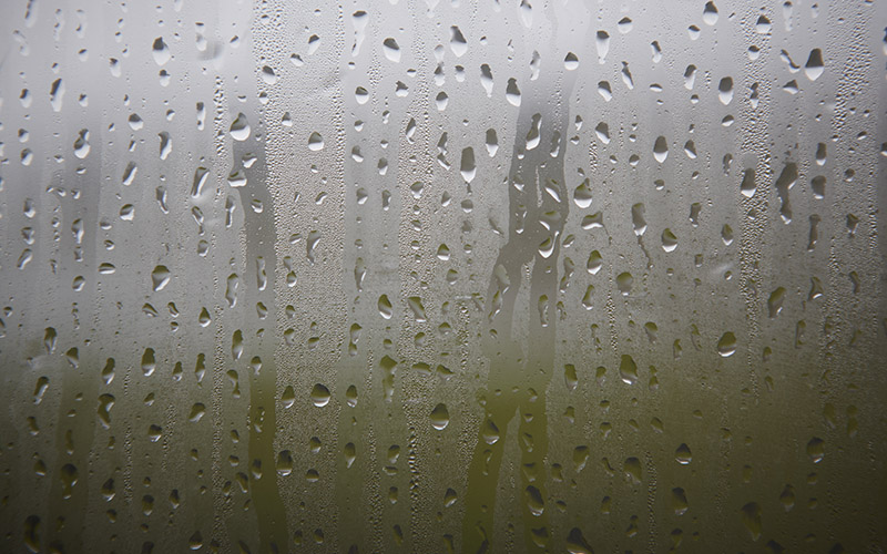 How to Reduce Humidity in Your Home