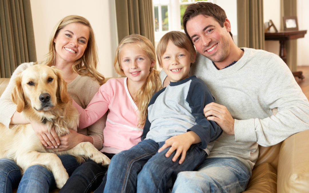 Keeping Your Indoor Air Quality High With Pets