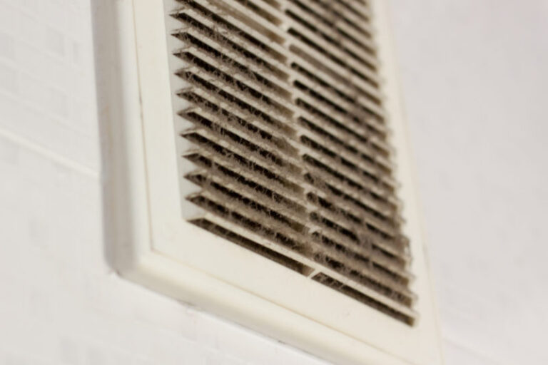 Air Vent Dust