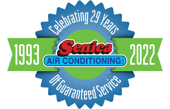 Senica 29years Logo